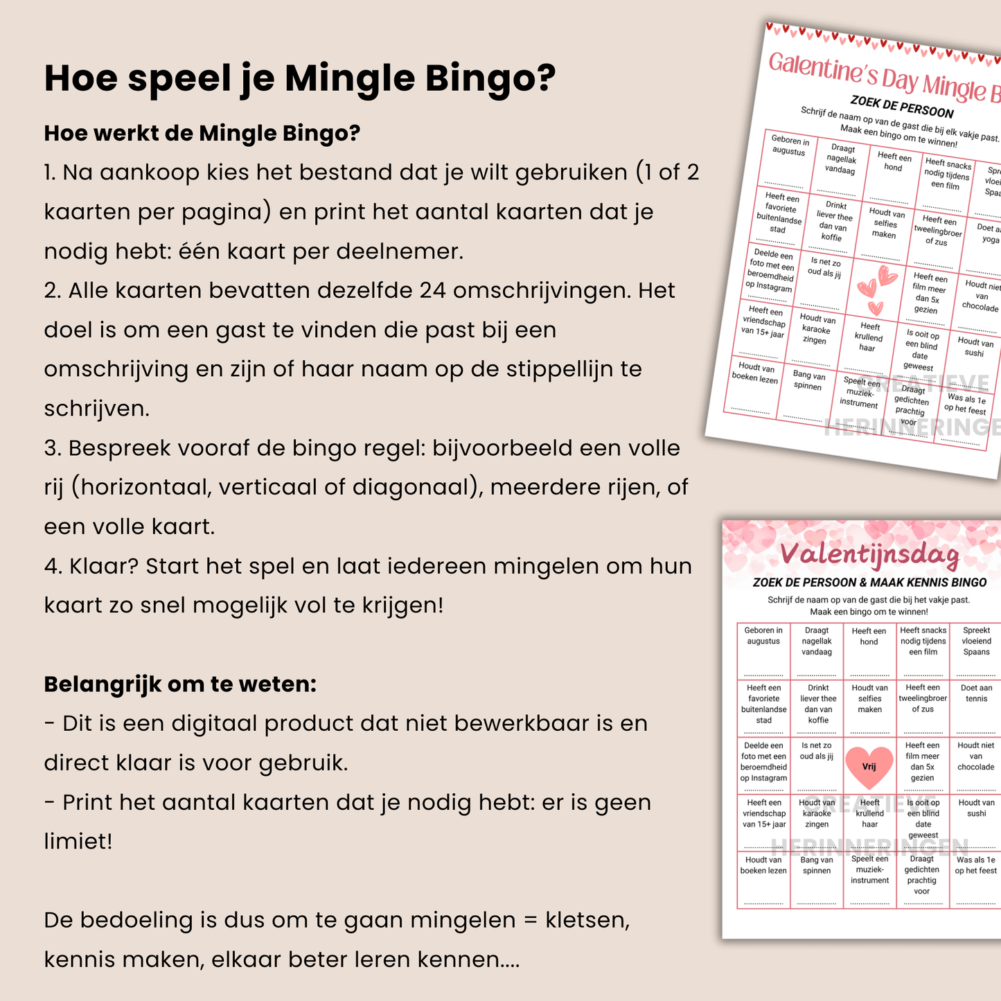Uitleg: Hoe speel je Mingle Bingo?