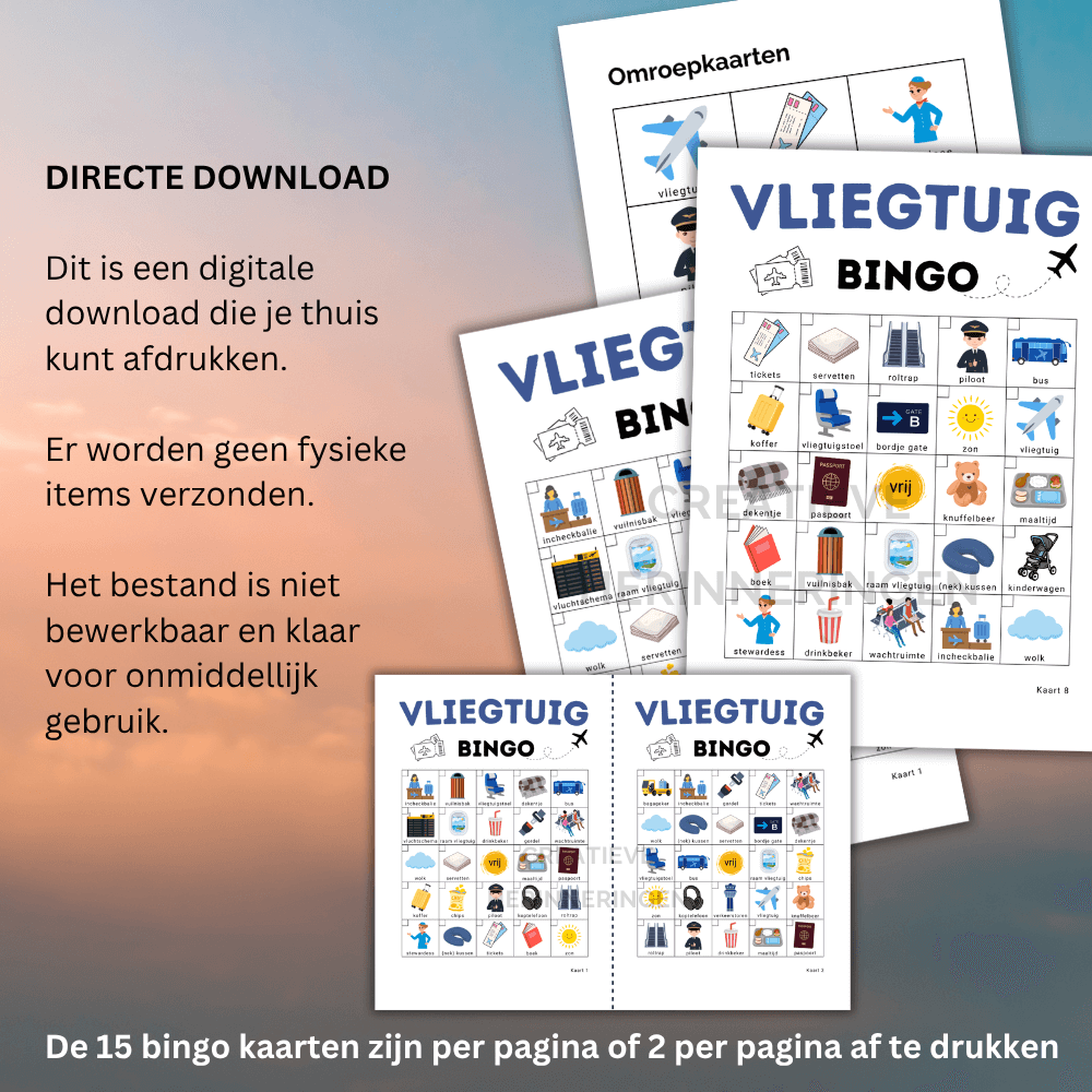 Afwisselend bingo spel met vliegtuigplaatjes voor op het vliegveld of in het vliegtuig, 15 kaarten