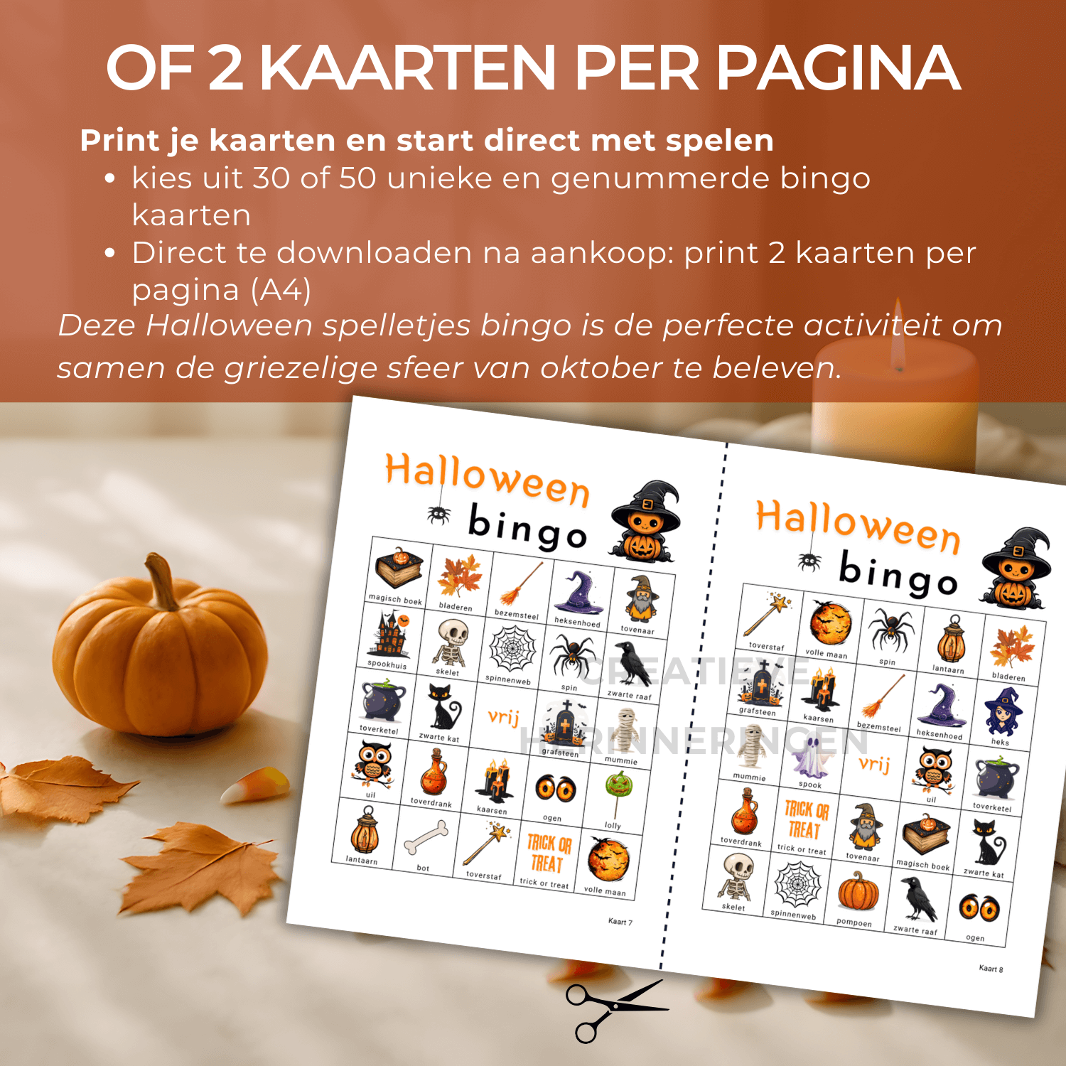 Familiefeest of vriendenavond met Halloween bingo spelletjes als PDF