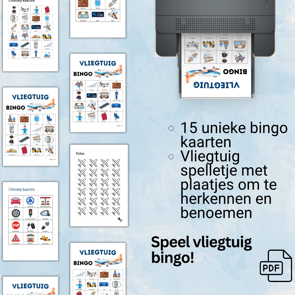 Educatief en leuk vliegtuig bingo spel voor thuis