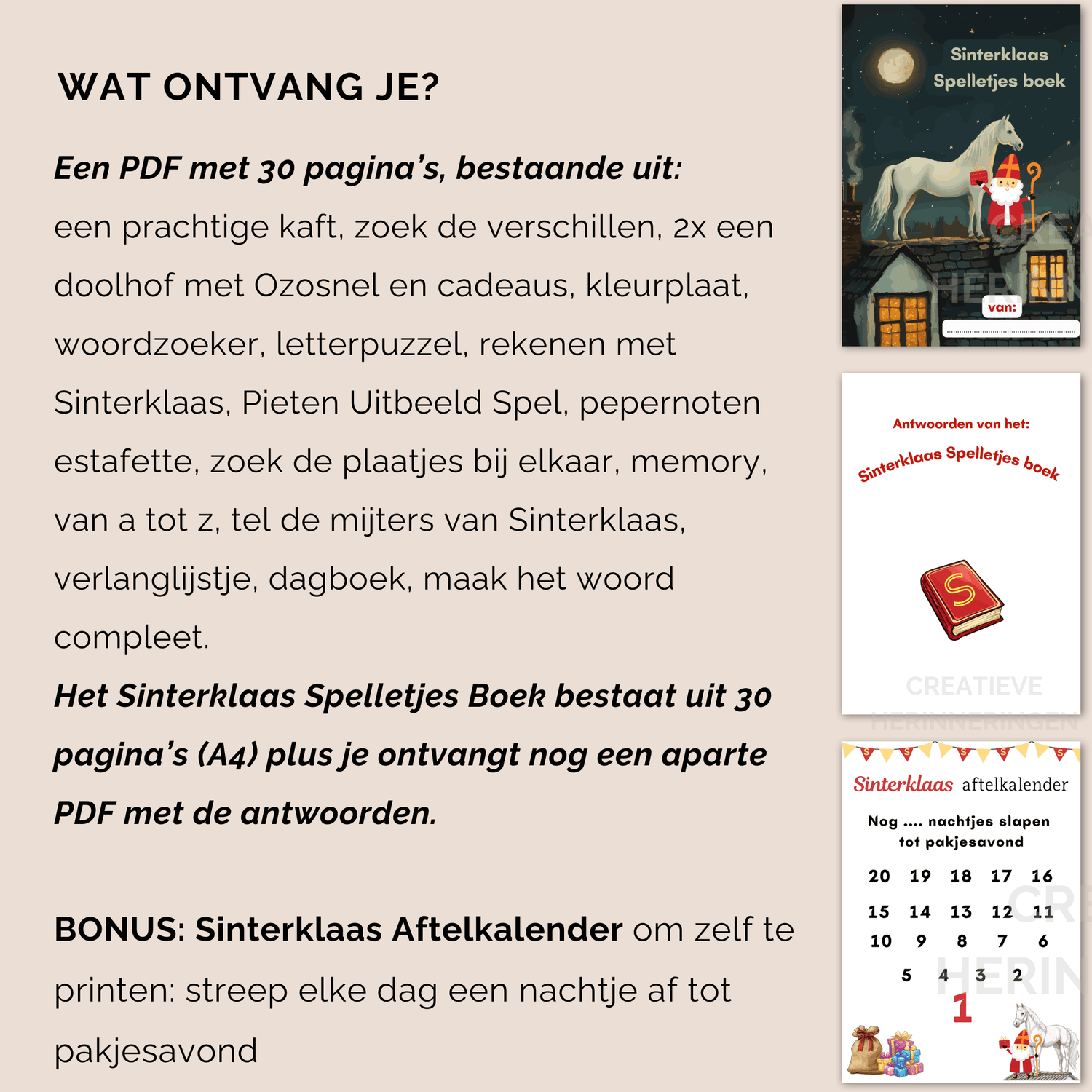 Sinterklaas spelletjes boek met bonus aftelkalender tot pakjesavond