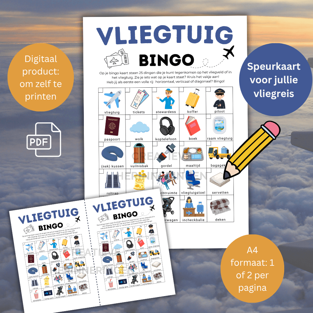 spelletje vliegtuig waarmee kinderen bingo kunnen spelen